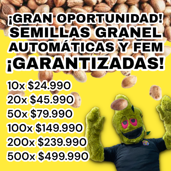 PROMOCIÓN 10