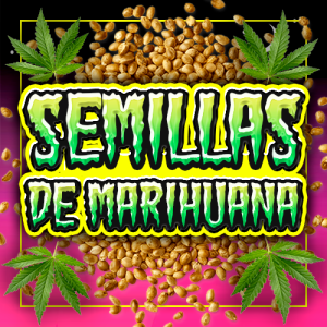 SEMILLAS DE MARIHUANA